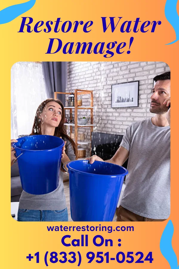 water restoration Expert Water Damage Waiohinu