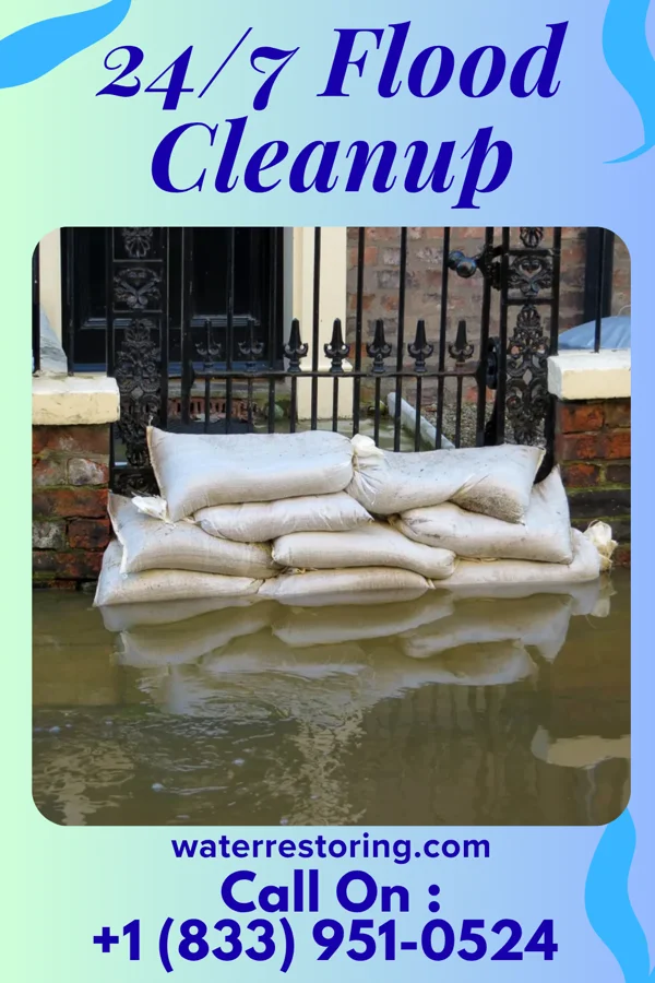 24/7 Flood Cleanup in Waiohinu, HI
